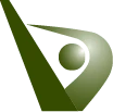 BVi Consulting Engineers logo