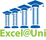 Excel@Uni Bursary for Persons With Disabilities logo