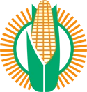 Maize logo