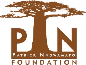 PN Foundation logo