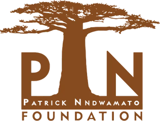 PN Foundation logo